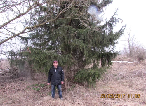 Посещение музея усадьбы отца Ермолова А.П.